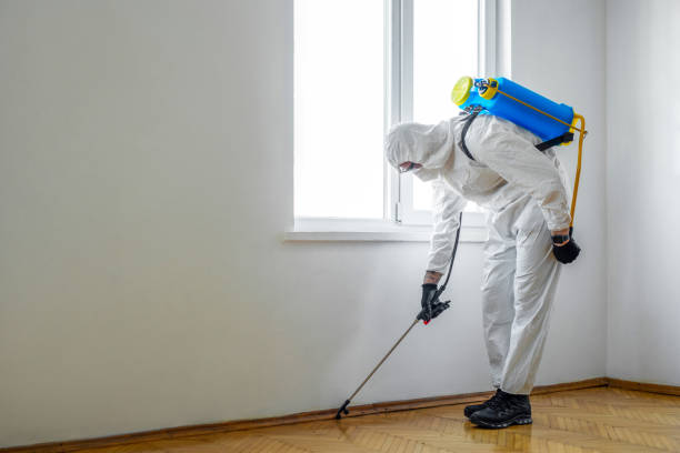 Best Ant Control Services  in Spencerville, OH